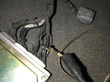 4th wire on top of A ECU connector (fuel pump)