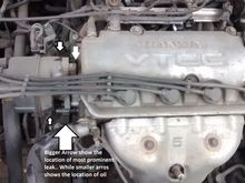 Location of Oil leaks. The bigger Arrow points to the area where Oil drips while the smaller Arrows show the areas where I note oil stains