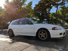 Holy shit, I actually washed a car...