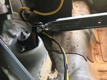From the trunk