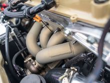 realling digging the color