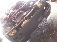 colinsFC893838