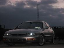 my cordy