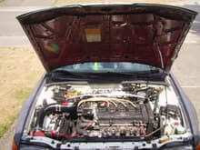 all the ebay crap under the hood