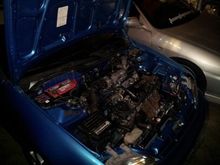 eg6