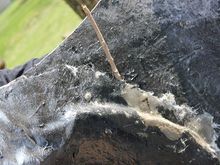 IMG 4808