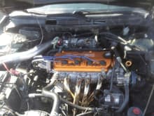 Painted valve cover, 70mm BLOX Throttle body, 4-2-1 SS Headers, test pipe, Apexi N1 type muffler, 8.5 mm Wire set, Cold air Intake.