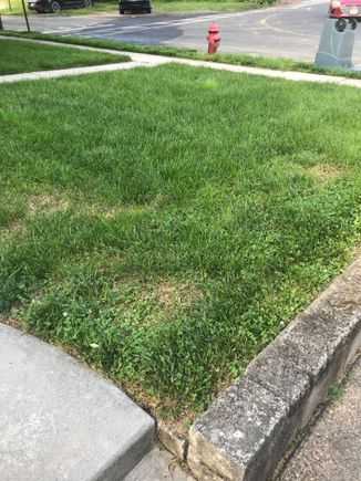 2 weeks later, before 2nd application