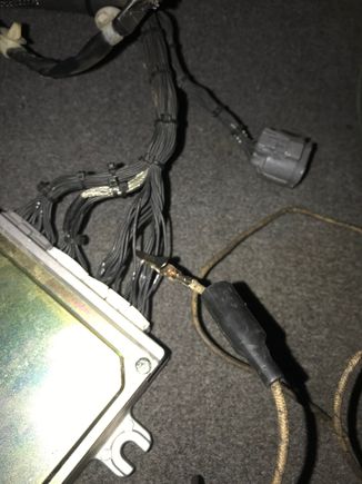 4th wire on top of A ECU connector (fuel pump)