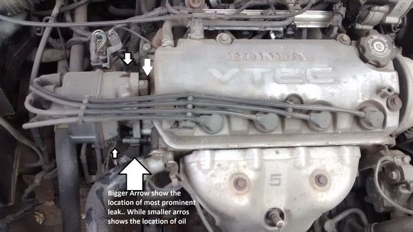 Location of Oil leaks. The bigger Arrow points to the area where Oil drips while the smaller Arrows show the areas where I note oil stains