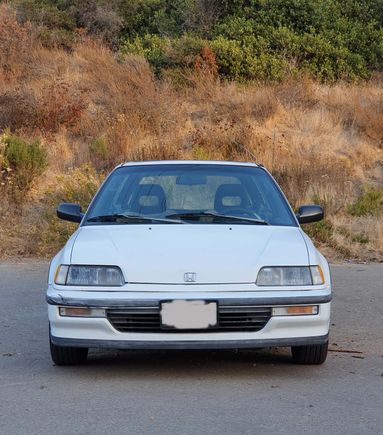 blemished passenger side bumper, small dent/depression in front hood near logo