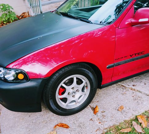 Cleaned up wheels, painted calipers and new inner fenders.