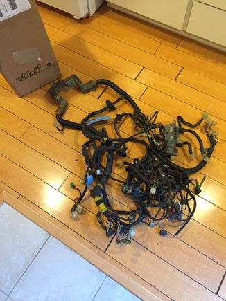 Good news everyone hit up Ef parts on Monday and he actually had a perfectly good harness for me just got it today now time to take the old one out and put this in