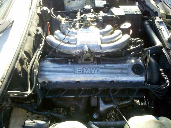 Engine bay after head rebuild and port and polish