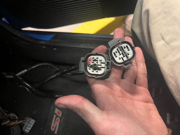 2 plugs i have no clue what for. came off of the wires that went from harness in the engine to the ecu