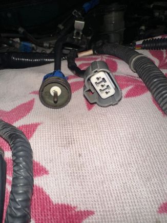 Female plug display 