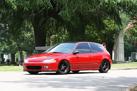 My Eg at Cemetary 1