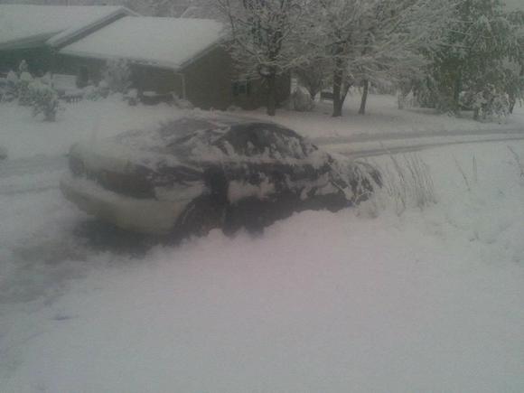 Winter fun