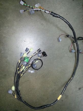 Rywire Milspec harness