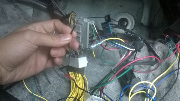 Loose Speedo Wire !!!