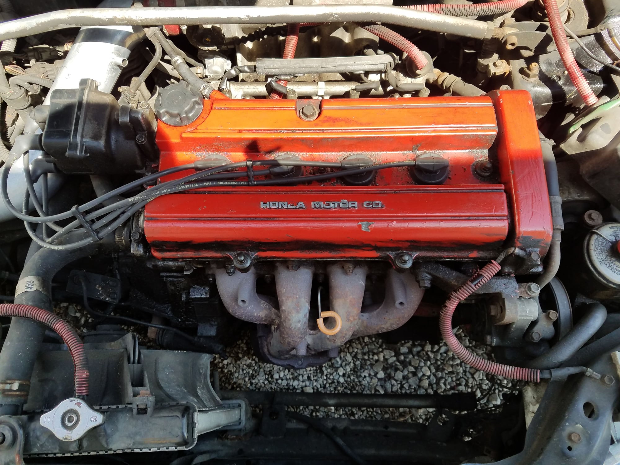 What motor is this? - The unofficial Honda Forum and Discussion Board