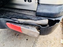 another tree not looking when I was backing up