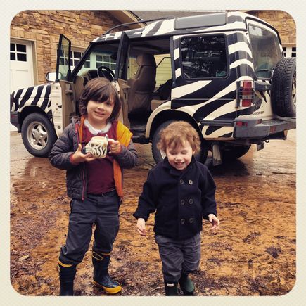 Fast forward 20 years and Zebra is still rocking the stripes.