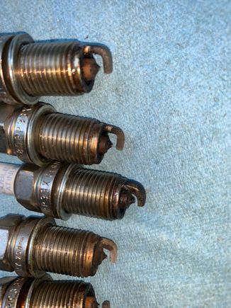 A few plugs are pretty crusty