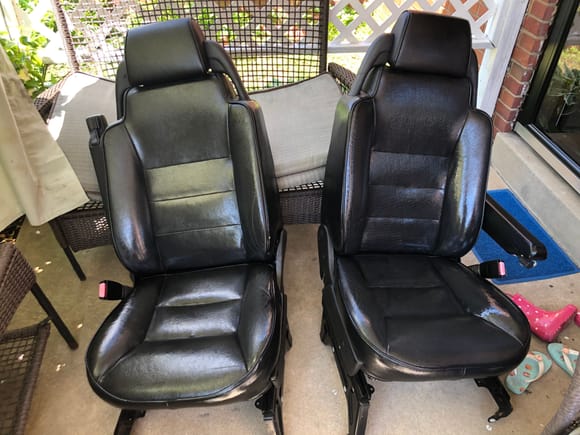"new" seats still wet with leather conditioner