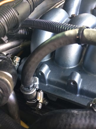 Vertical position just above the valve cover... routing 5/16" fuel hose to intake using zip ties to keep in position.