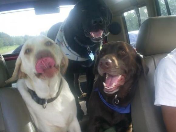 three amigos2