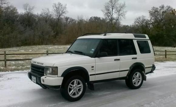 Discovery playing in the snow.