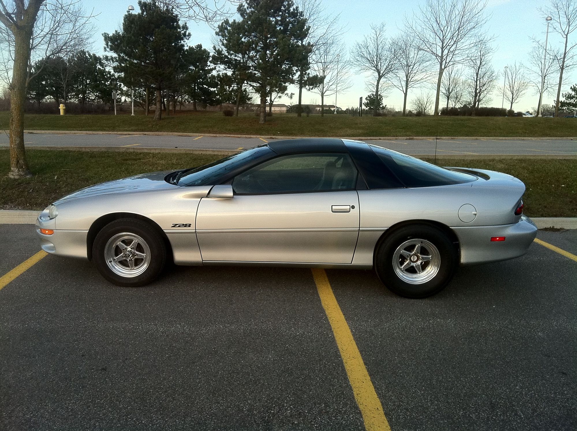 Racestars or Welds On Silver Catfish LS1TECH Camaro and Firebird