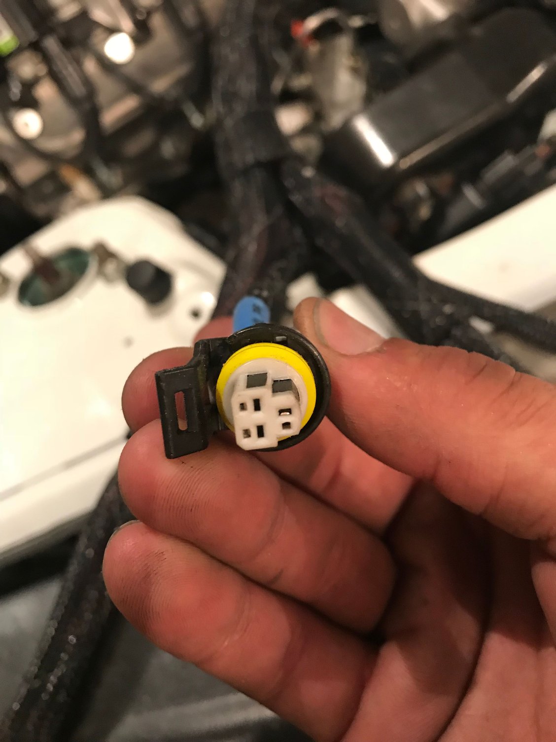 Dual oil pressure sensors LS1TECH Camaro and Firebird Forum Discussion