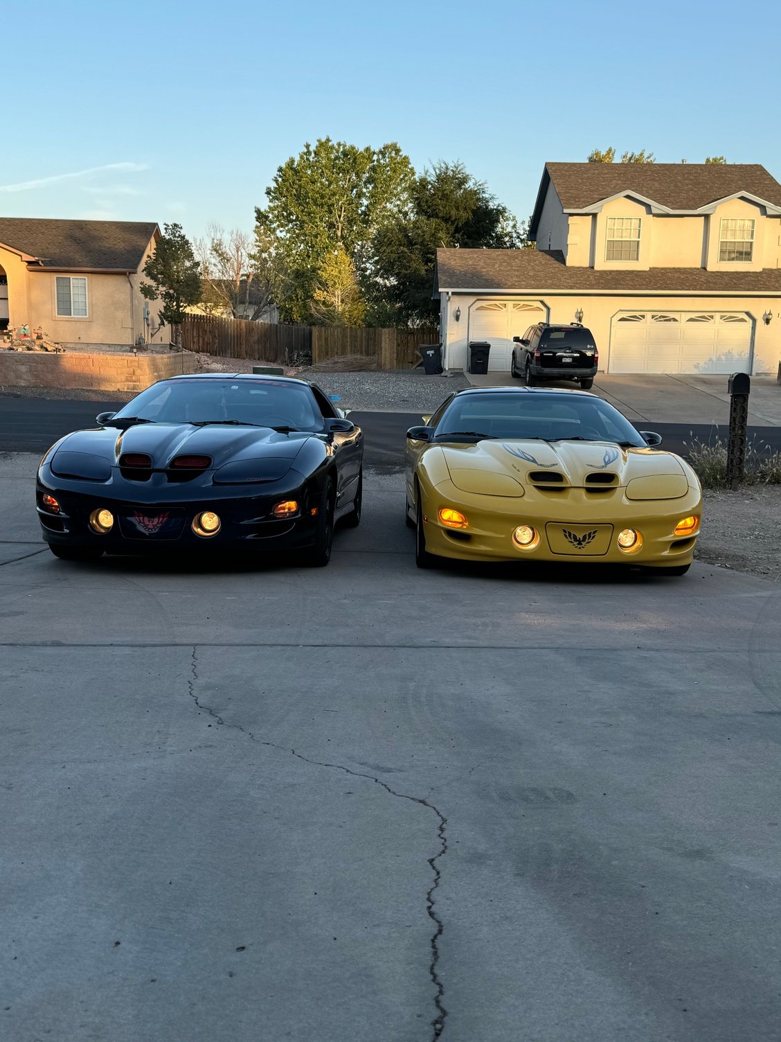 A buddy with another ws-6