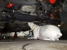 Working on fuel lines with a little help from my baby girl/garage buddy Ella.