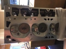 Combustion chambers.  The pics do not show the intake valves very well.  In person, they are enormous