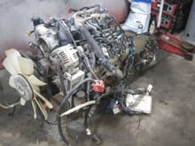 Doner  6.0 lq4 from a 2006 gmc 3500