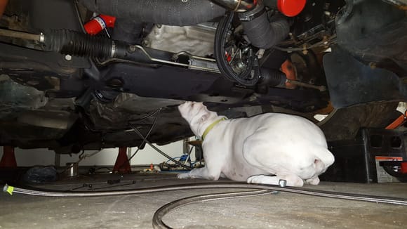 Working on fuel lines with a little help from my baby girl/garage buddy Ella.