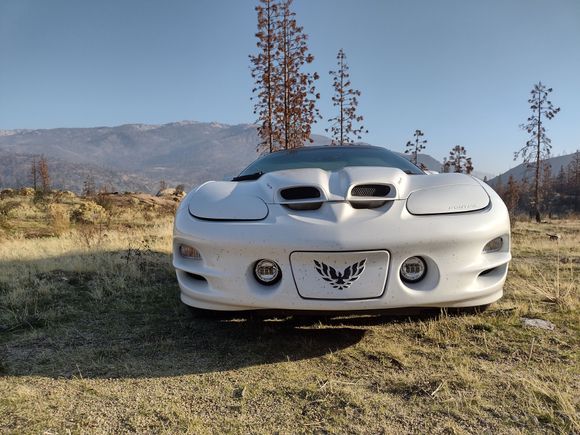 Kaiser Ridge background: Sierra National Forest; Eagle Lights 8700P 4.5" LED fog lights