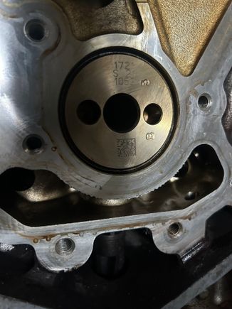 Mystery Cam
