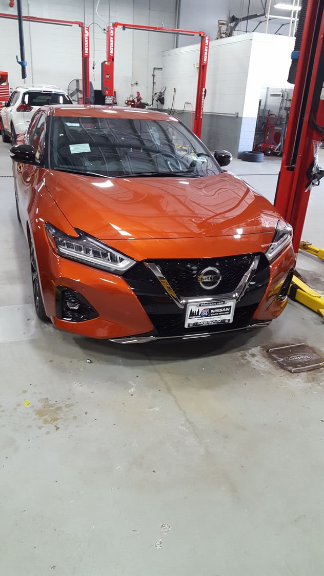 2019's are rolling in.. - Maxima Forums