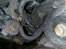 As you can see, there seems to be a bit of unprotected wiring. Maybe it's just me. I don't know how they're supposed to look down here.