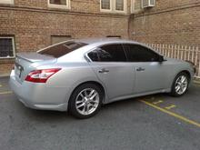 20% tint all over