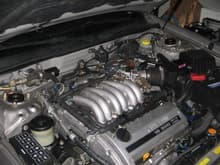 1999 Nissan Maxima; after engine replacement (boy was that allot of work)