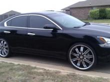Black Beauty