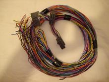 Universal harness