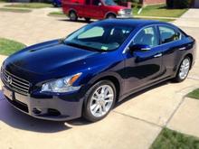 Grego's Maxima