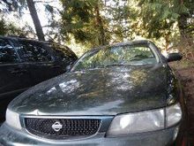 maxima (new honeycomb grill)