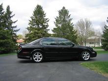 MY whip